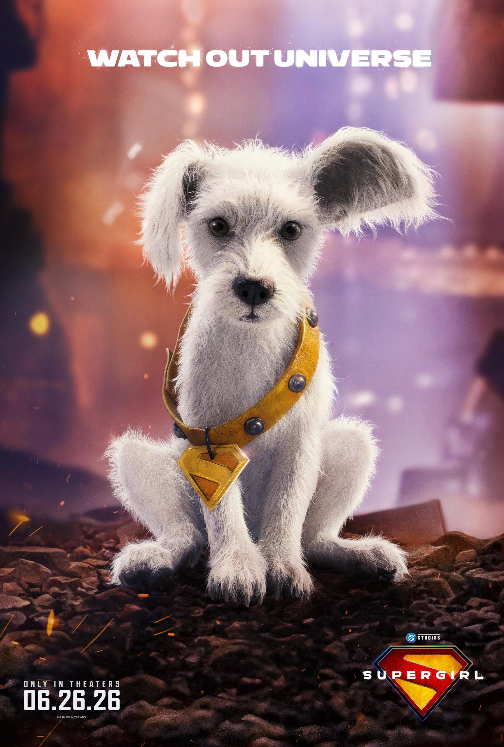 SPRGRL_VERT_Krypto_PuppyBowl_2764x4096_DOM_NIRD
